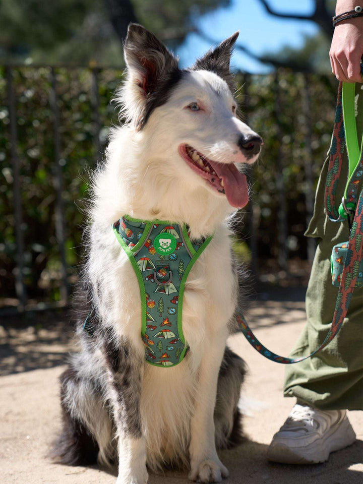 ARNES TRAIL PARA PERRO SCOUTS