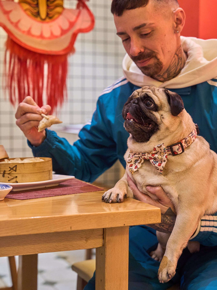 PAJARITA PARA PERRO ASIAN