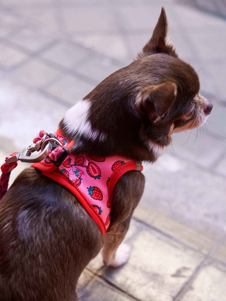 ARNÉS BODY PERRO BERRY LOVE - Dukier