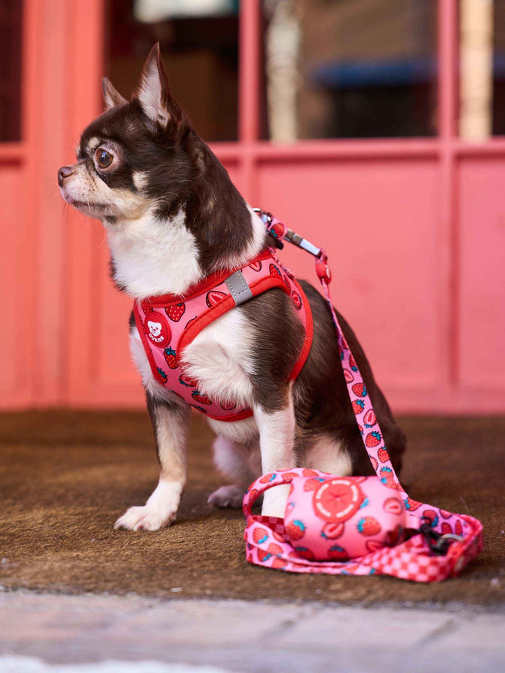 ARNÉS BODY PERRO BERRY LOVE - Dukier