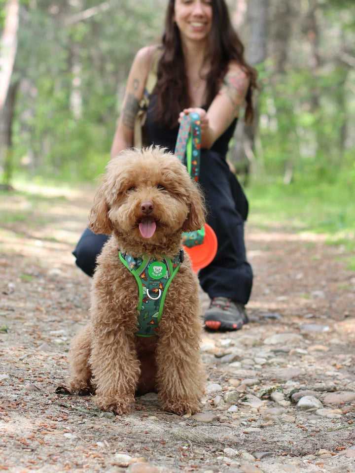 ARNES TRAIL PARA PERRO SCOUTS