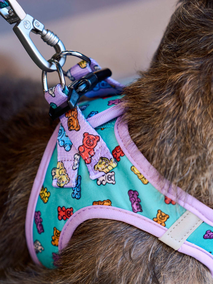 ARNÉS BODY PERRO GUMMY BEARS