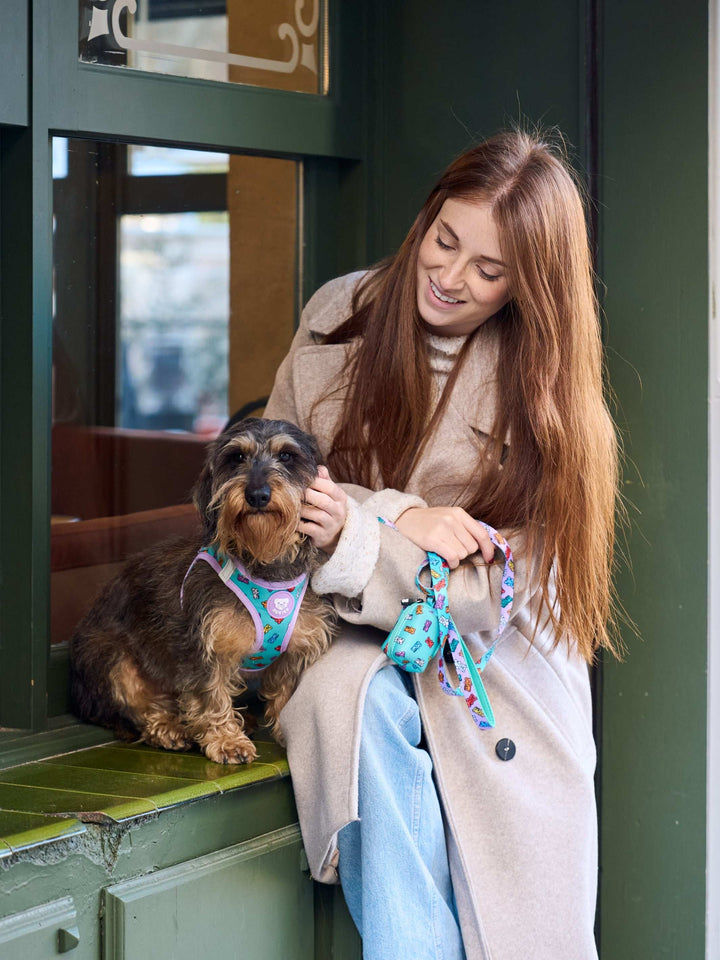 ARNÉS BODY PERRO GUMMY BEARS