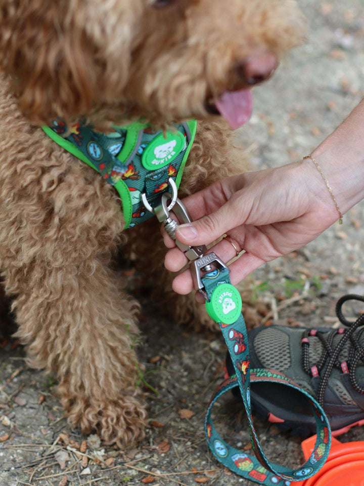 ARNES TRAIL PARA PERRO SCOUTS