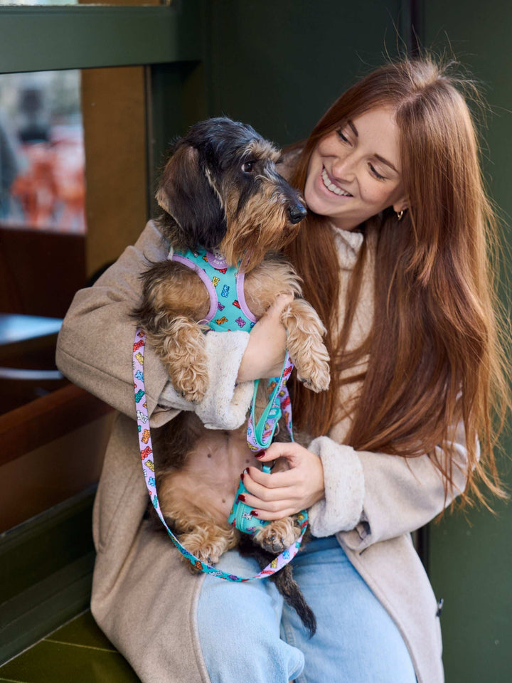 ARNÉS BODY PERRO GUMMY BEARS