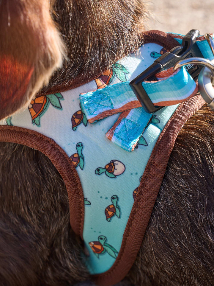 ARNÉS BODY PERRO TURTLE