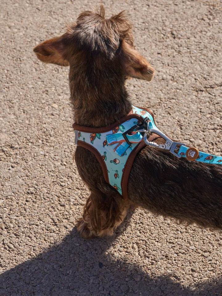 ARNÉS BODY PERRO TURTLE