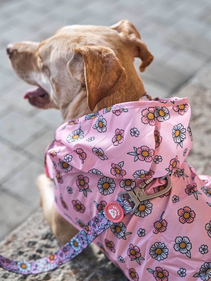 CHUBASQUERO PARA PERRO FLOWER POWER