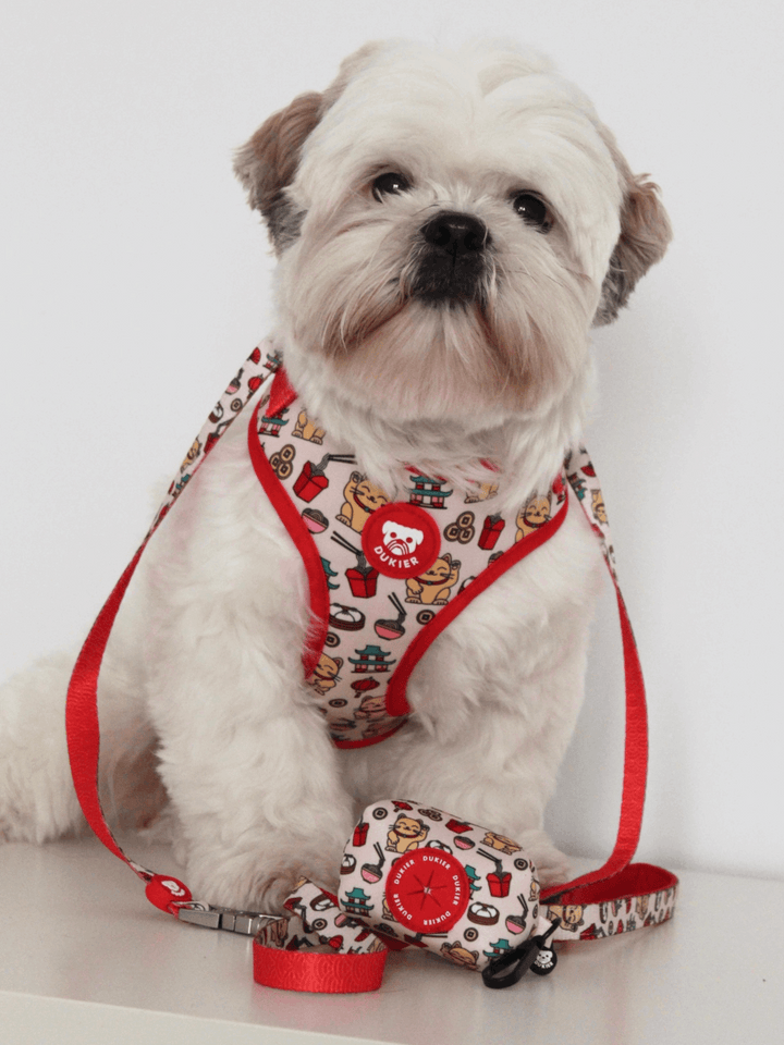 PORTA BOLSAS CACA ASIAN