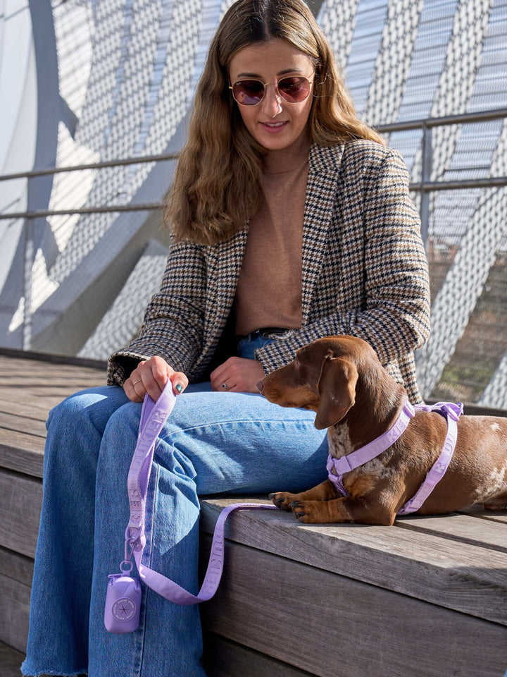 ARNÉS CLÁSICO PARA PERRO VIOLET