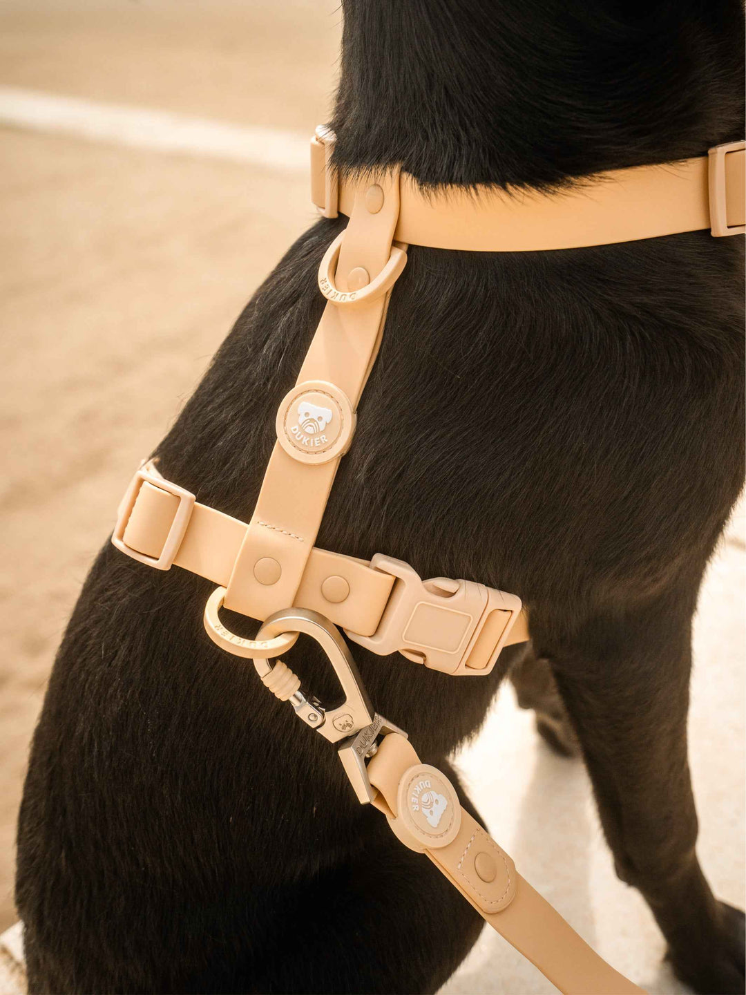 ARNES WATERPROOF PARA PERRO BEIGE