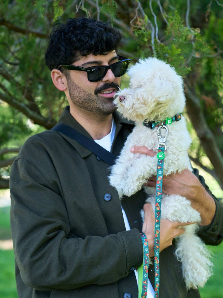 COLLAR PARA PERRO SCOUTS