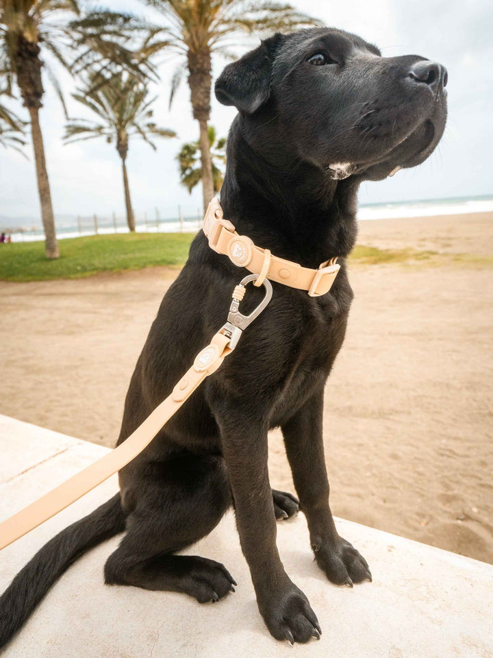 WATERPROOF DOG COLLAR BEIGE