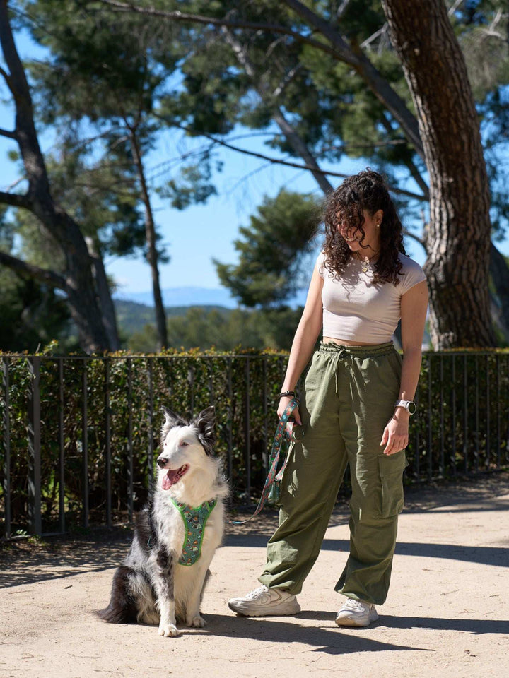 ARNES TRAIL PARA PERRO SCOUTS