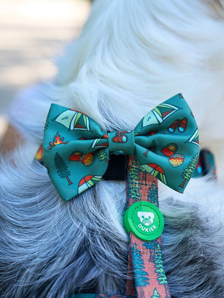 PAJARITA PARA PERRO SCOUTS