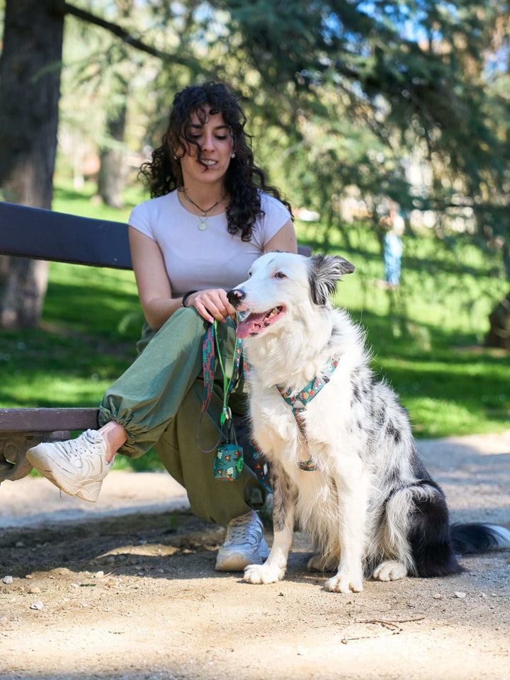 ARNÉS CLÁSICO PARA PERRO SCOUTS
