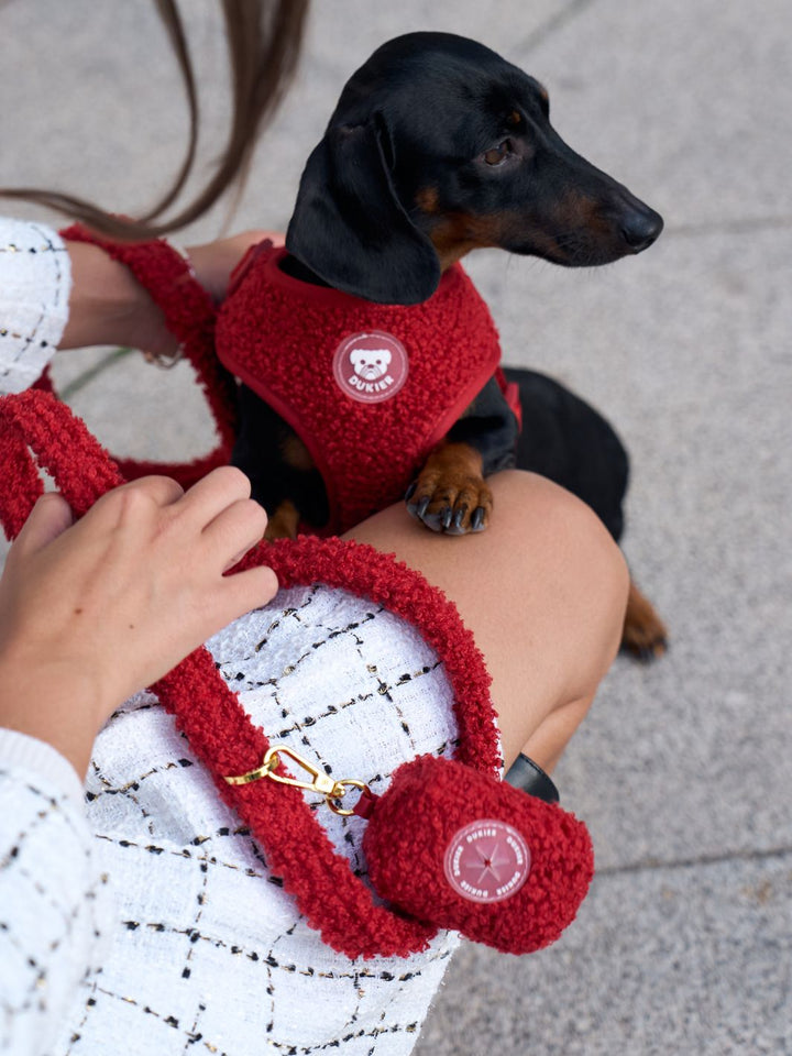 TEDDY RED ADJUSTABLE DOG HARNESS