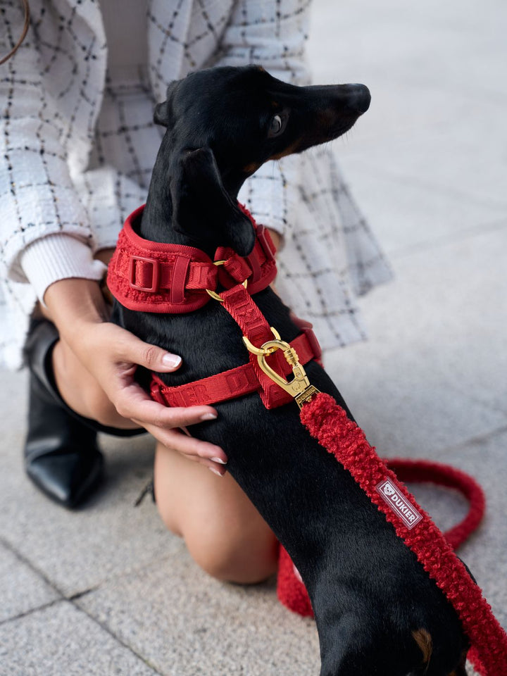 TEDDY RED ADJUSTABLE DOG HARNESS