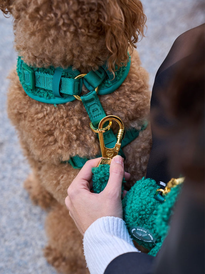 TEDDY RED ADJUSTABLE DOG HARNESS
