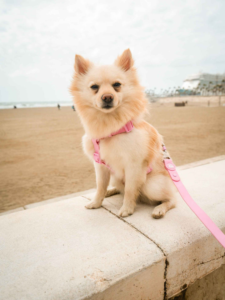 ARNES WATERPROOF PARA PERRO PINK