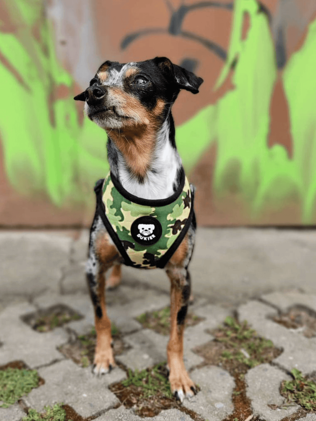 CAMO REVERSIBLE DOG HARNESS