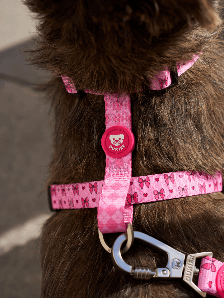 ARNÉS CLÁSICO PARA PERRO COQUETTE