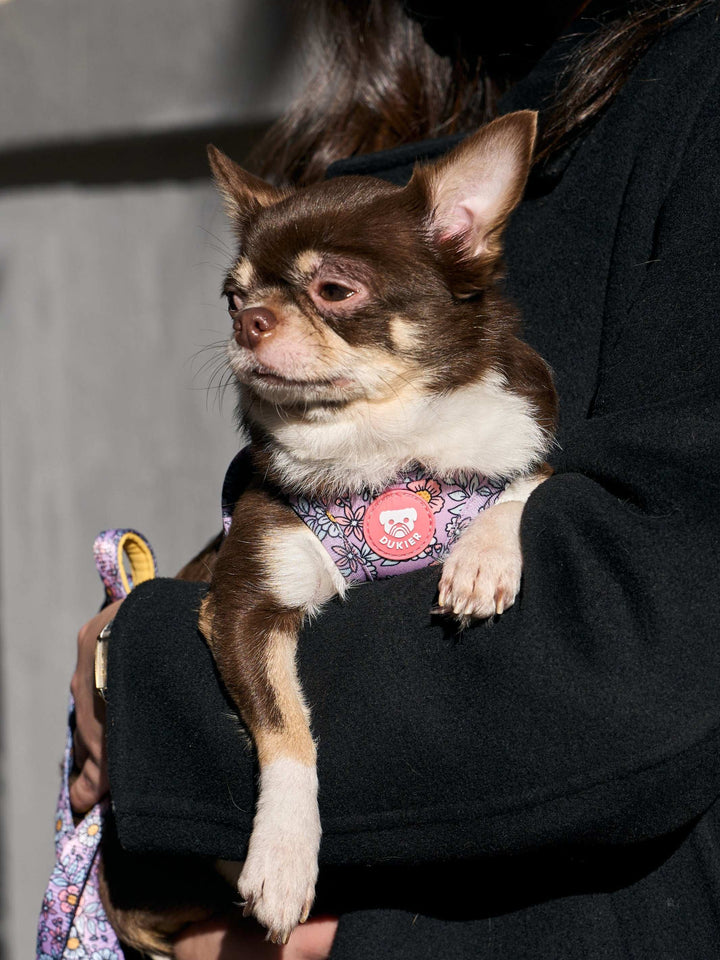 ARNÉS BODY PERRO FLOWER POWER