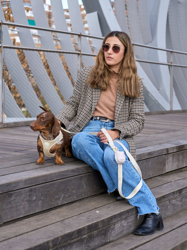 ARNÉS BODY PERRO BEIGE