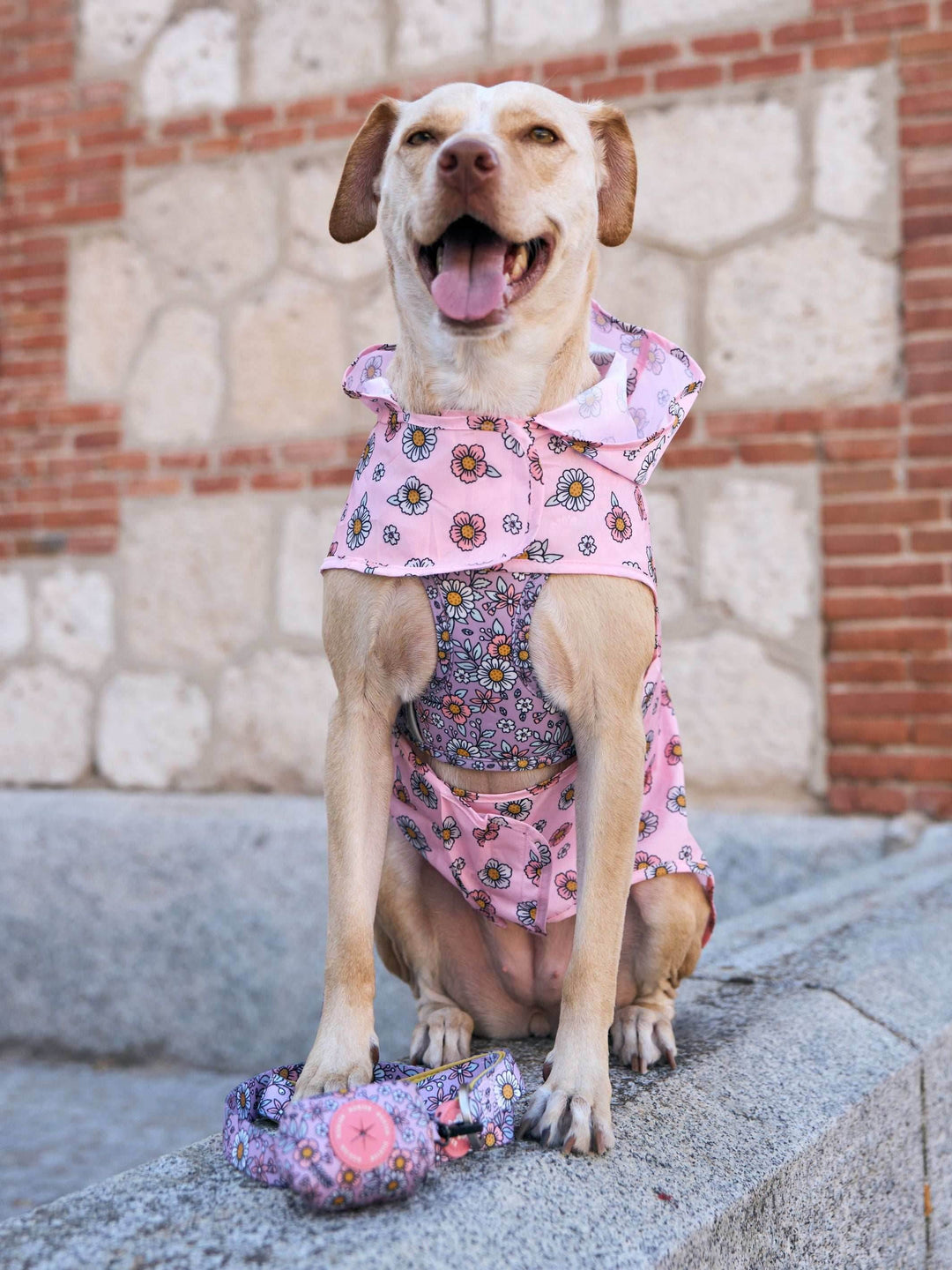 CHUBASQUERO PARA PERRO FLOWER POWER