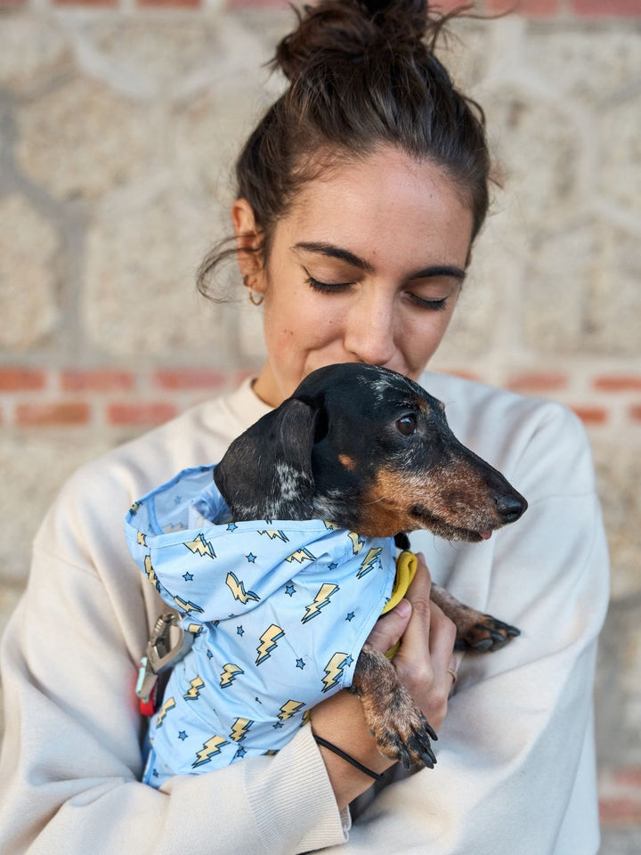 RAINCOAT FOR DOG STORM