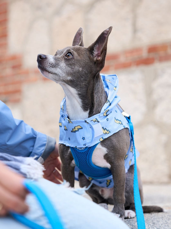 RAINCOAT FOR DOG STORM