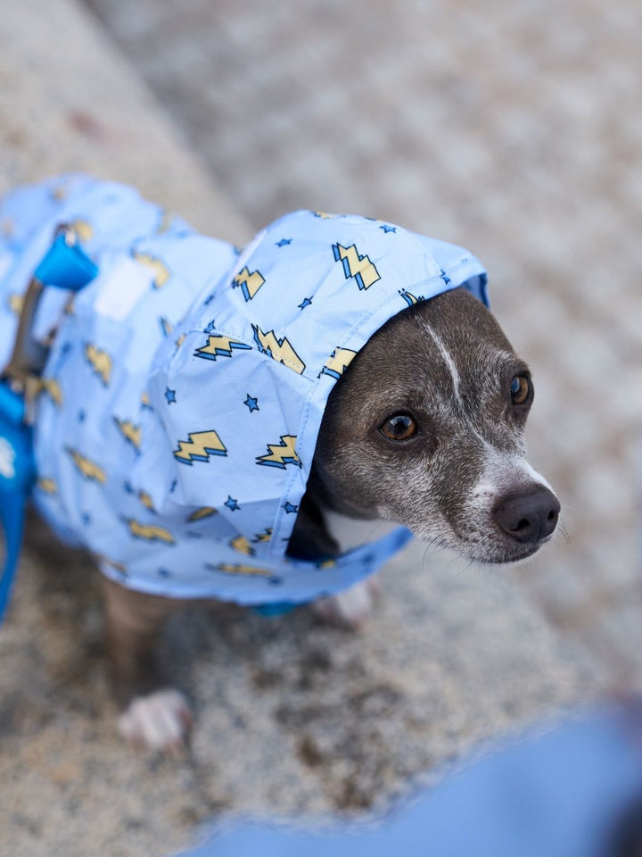 RAINCOAT FOR DOG STORM