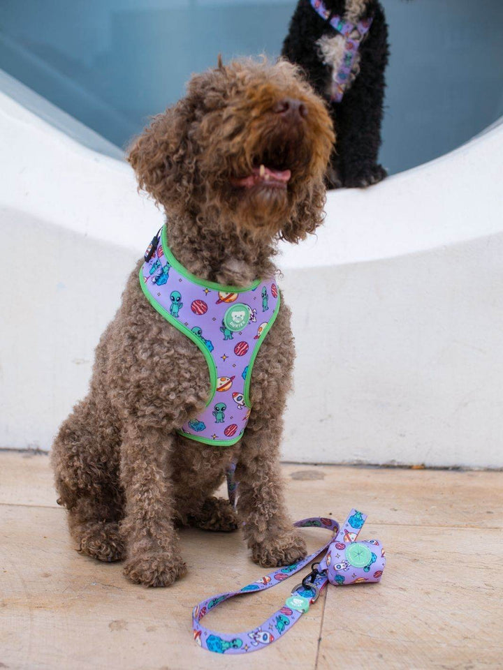 ARNES AJUSTABLE PARA PERRO ALIEN - Dukier