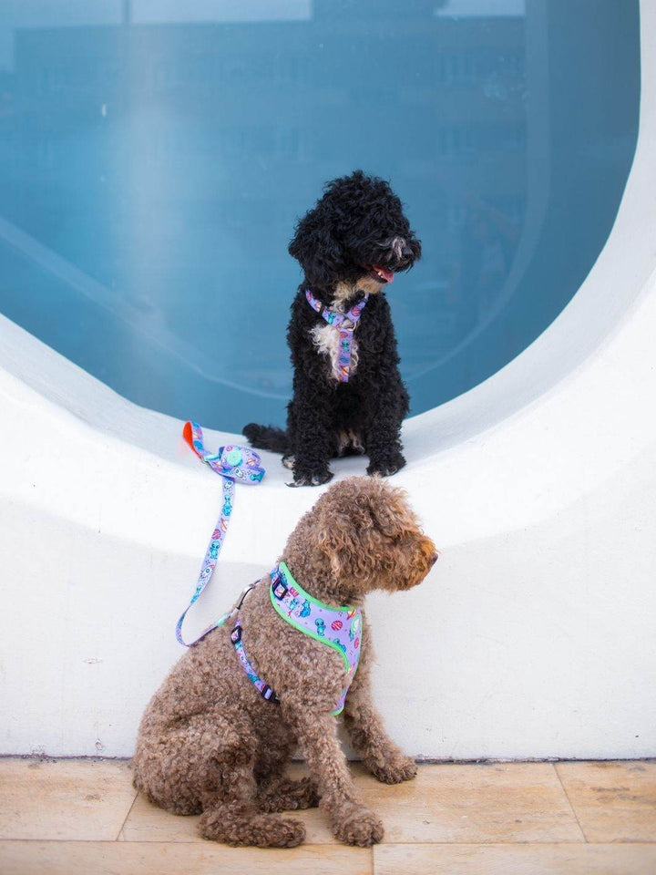 ARNES AJUSTABLE PARA PERRO ALIEN - Dukier