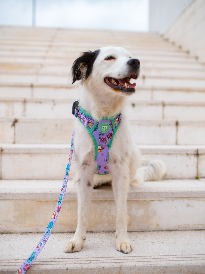 TRAIL HUNDEGESCHIRR ALIEN