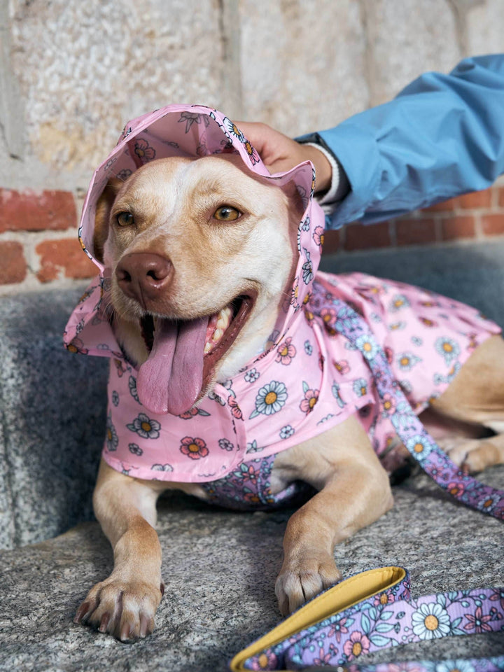 CHUBASQUERO PARA PERRO FLOWER POWER