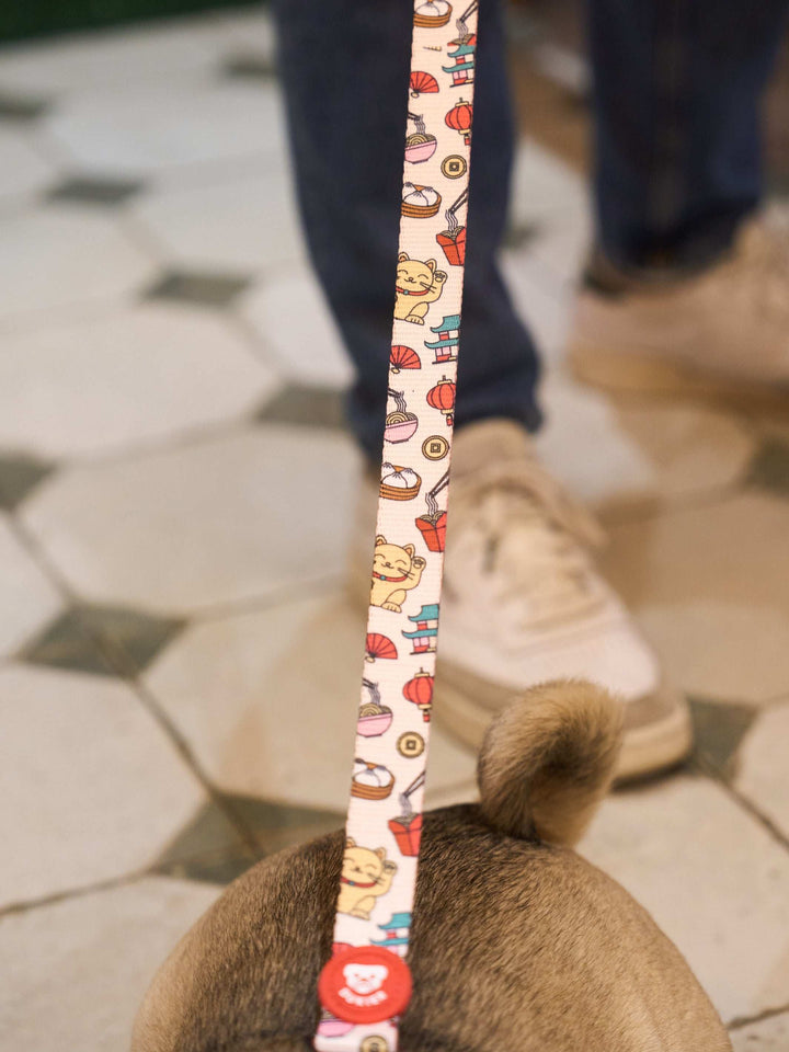 CORREA PARA PERRO ASIAN