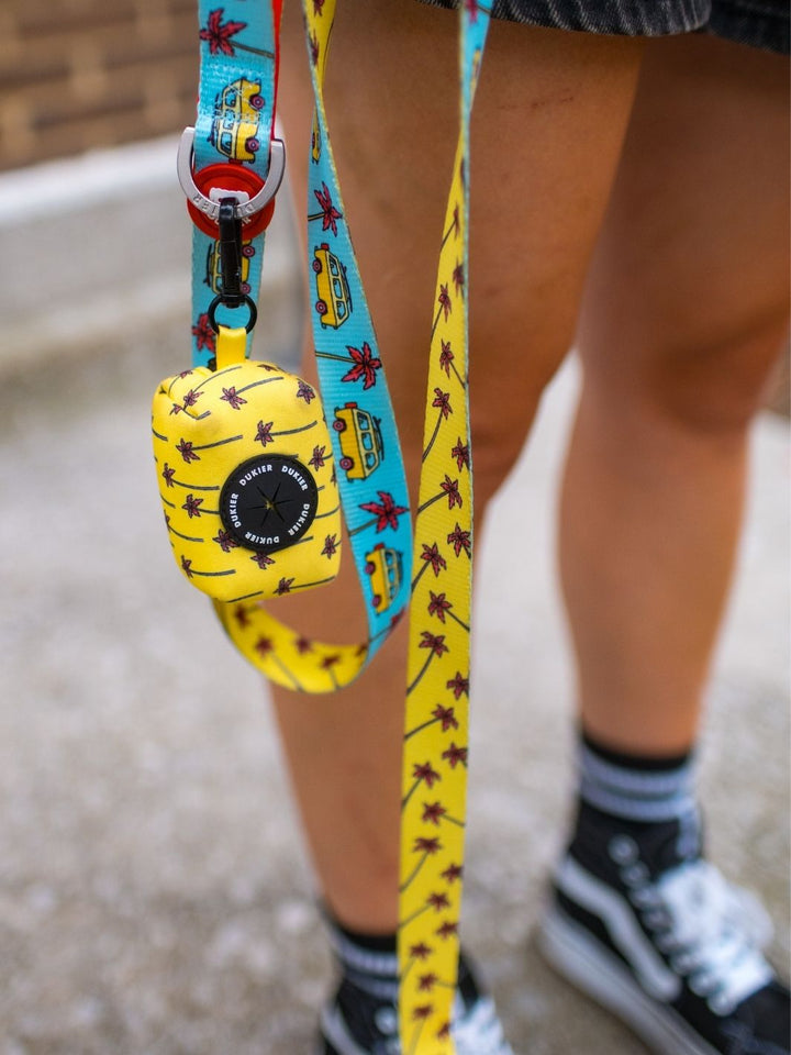 CORREA PARA PERRO CALIFORNIA