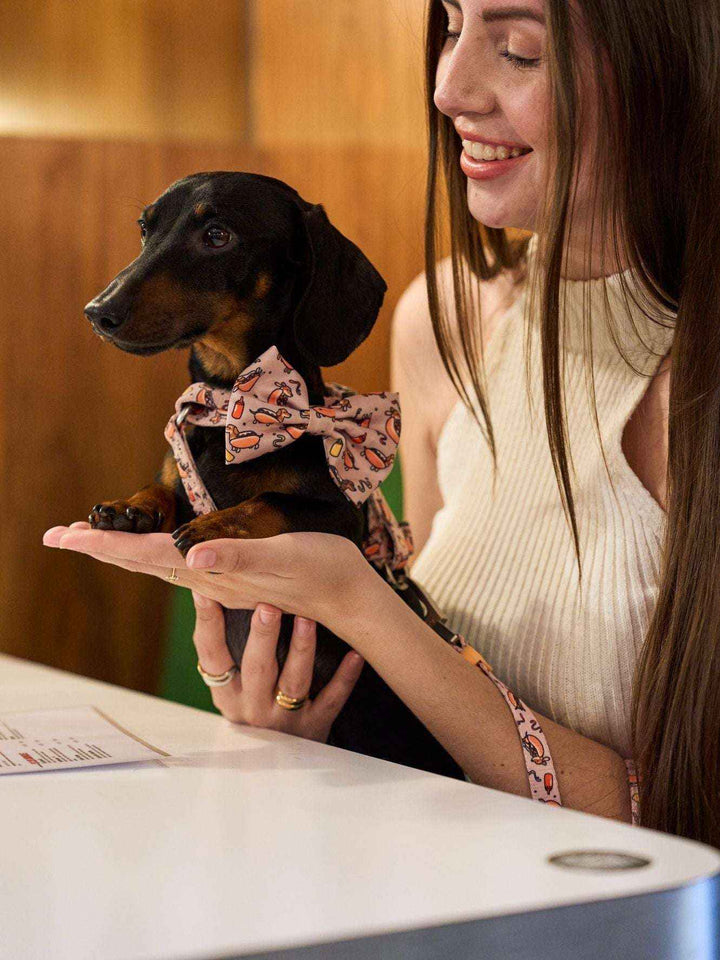 PAJARITA PARA PERRO HOT DOGS