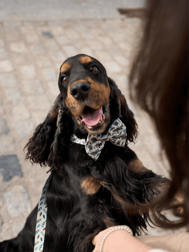 PAJARITA PARA PERRO LITTLE BUGS