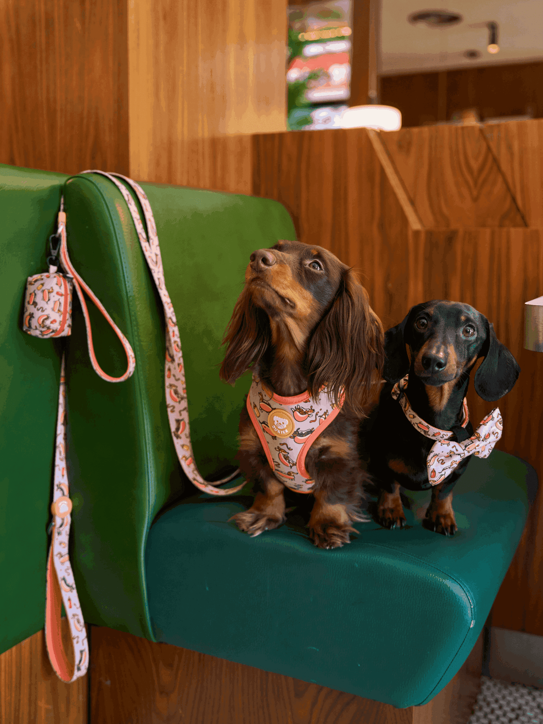 CORREA PARA PERRO HOT DOGS