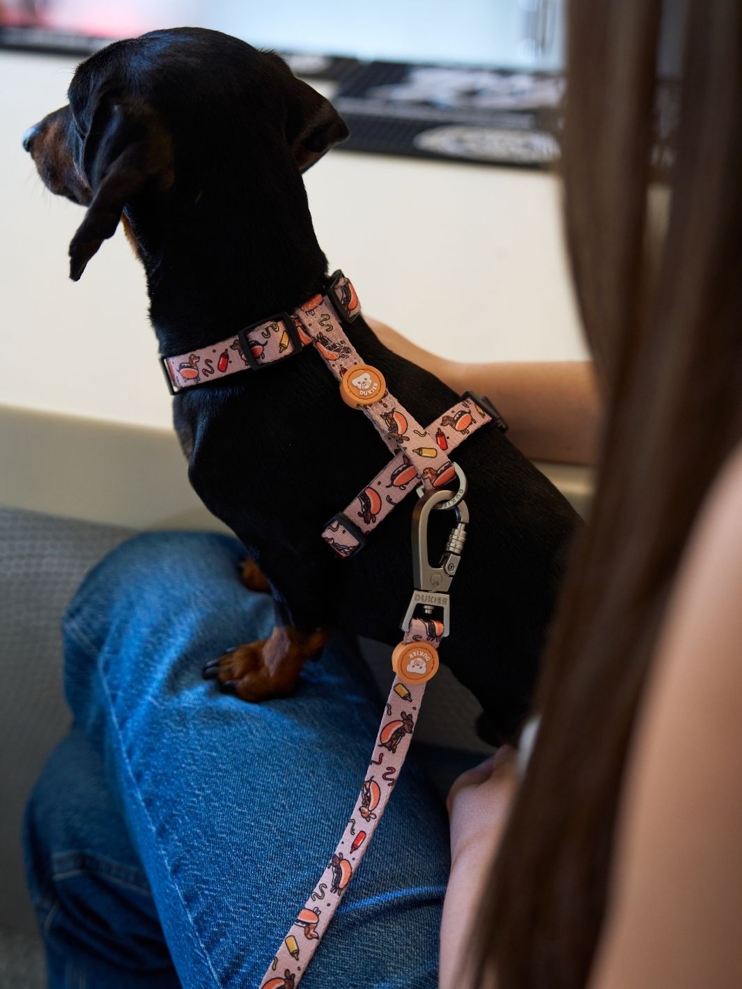 CORREA PARA PERRO HOT DOGS