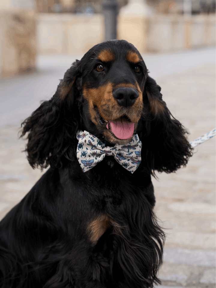 PAJARITA PARA PERRO LITTLE BUGS