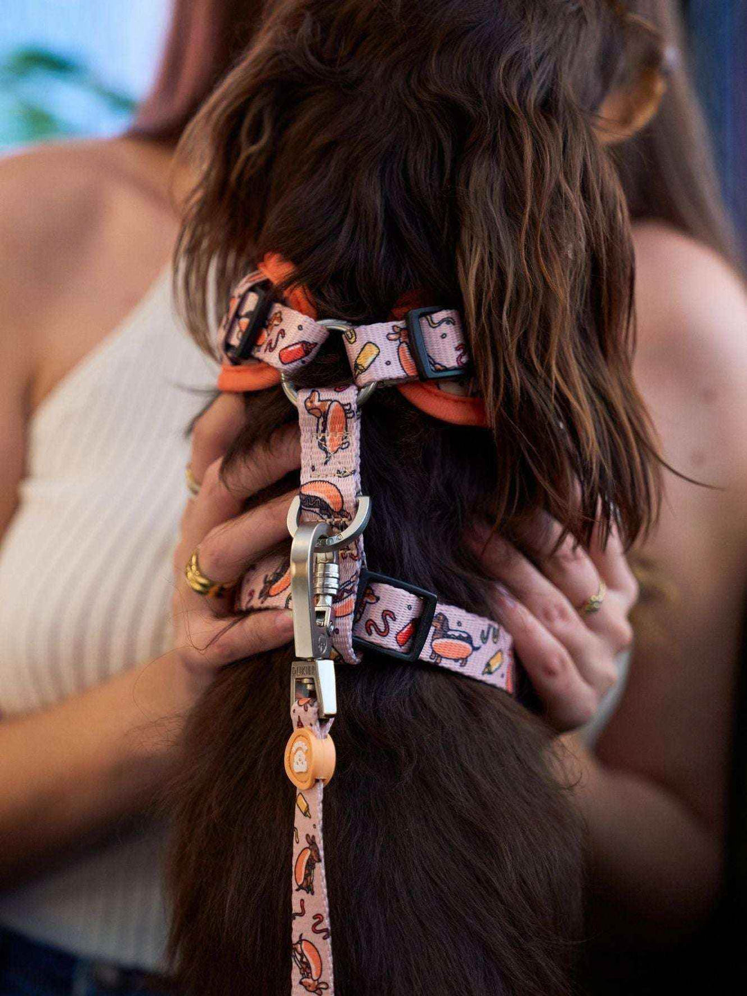 ARNES AJUSTABLE PARA PERRO HOT DOGS - Dukier