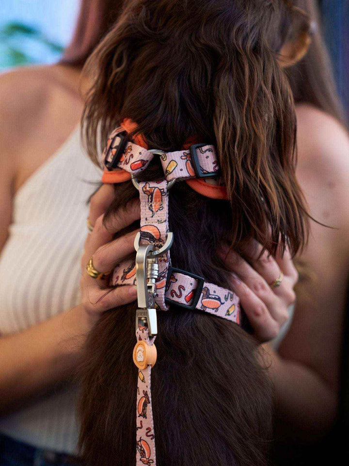 ARNES AJUSTABLE PARA PERRO HOT DOGS - Dukier