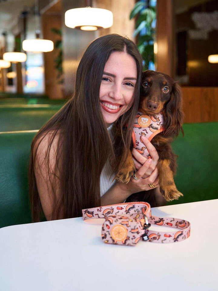 ARNES AJUSTABLE PARA PERRO HOT DOGS - Dukier