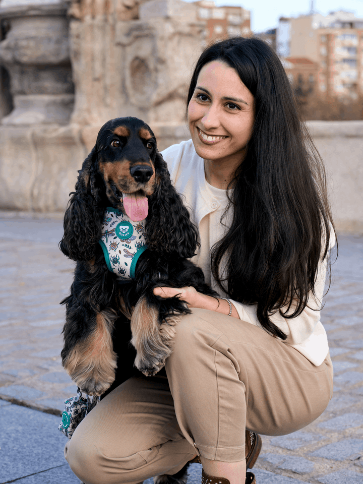 ARNES AJUSTABLE PARA PERRO LITTLE BUGS