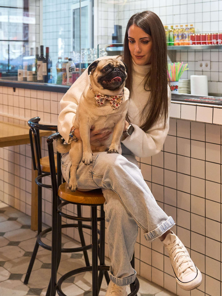 PAJARITA PARA PERRO ASIAN