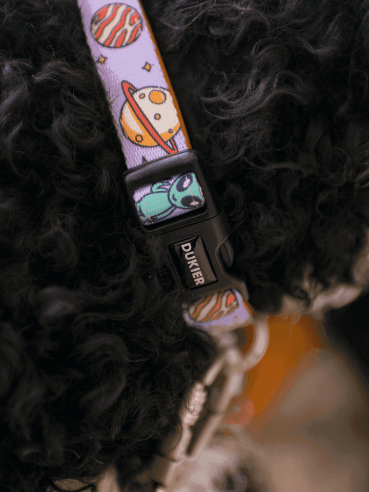 COLLAR PARA PERRO ALIEN