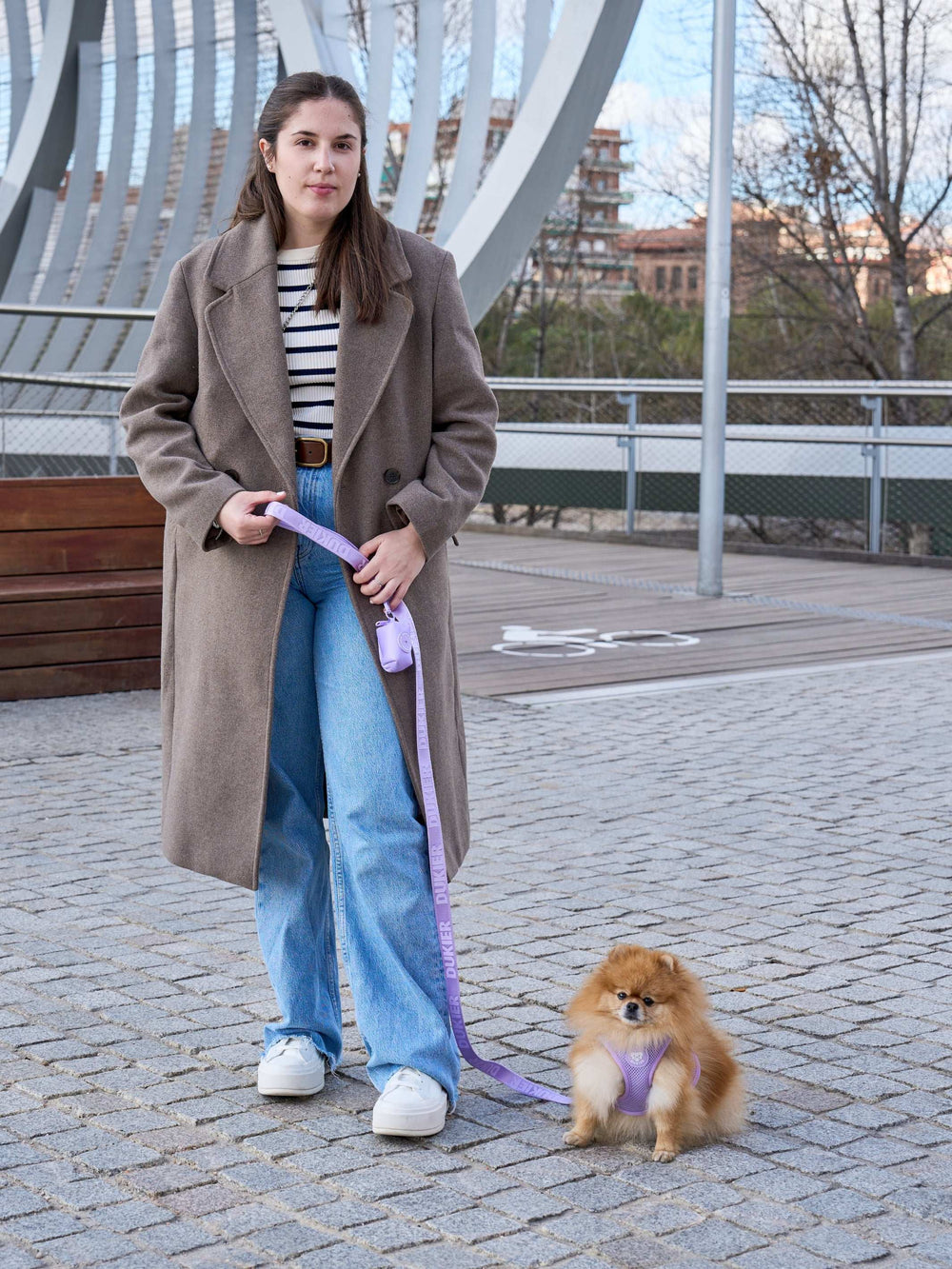 CORREA PARA PERRO VIOLET